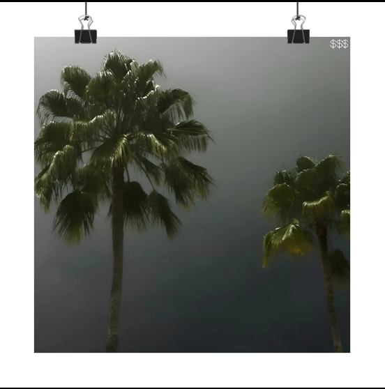 SuicideBoys South Side Suicide Album Cover Poster SuicideBoys South Side Suicide Album Cover Poster